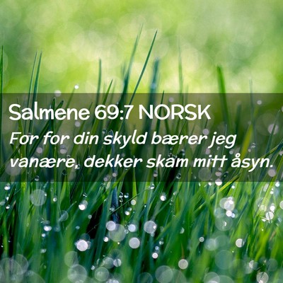 Picture 02 - Salmene 69:7 NORSK - For for din skyld bærer jeg vanære, dekker skam - Bible Verse Picture