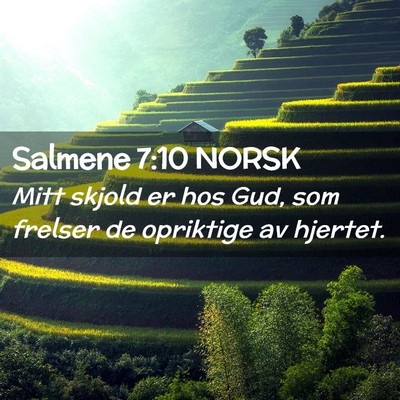Picture 02 - Salmene 7:10 NORSK - Mitt skjold er hos Gud, som frelser de opriktige - Bible Verse Picture
