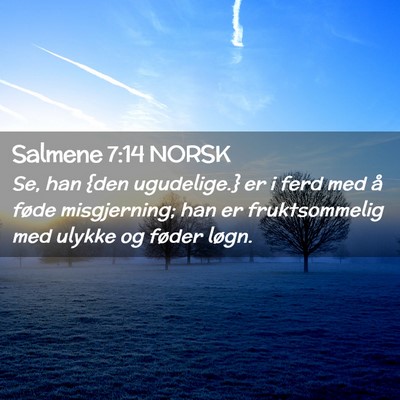 Picture 02 - Salmene 7:14 NORSK - Se, han {den ugudelige.} er i ferd med å føde - Bible Verse Picture
