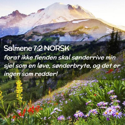 Picture 02 - Salmene 7:2 NORSK - forat ikke fienden skal sønderrive min sjel som - Bible Verse Picture