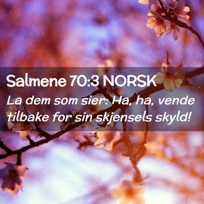Picture 02 - Salmene 70:3 NORSK - La dem som sier: Ha, ha, vende tilbake for sin - Bible Verse Picture