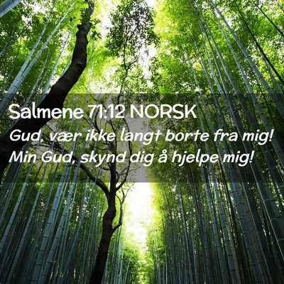 Picture 02 - Salmene 71:12 NORSK - Gud, vær ikke langt borte fra mig! Min Gud, - Bible Verse Picture