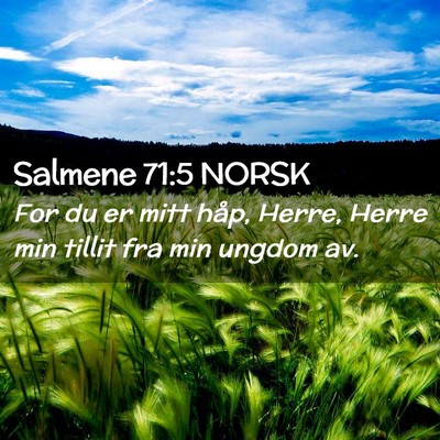 Picture 02 - Salmene 71:5 NORSK - For du er mitt håp, Herre, Herre min tillit fra - Bible Verse Picture