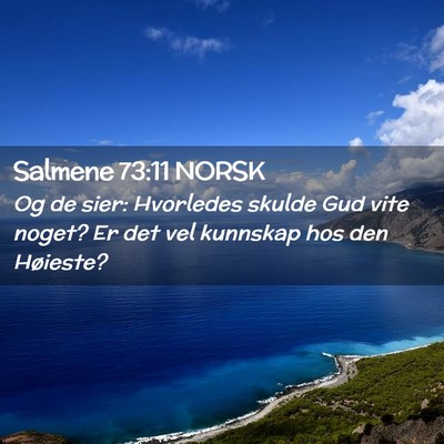 Picture 02 - Salmene 73:11 NORSK - Og de sier: Hvorledes skulde Gud vite noget? Er - Bible Verse Picture