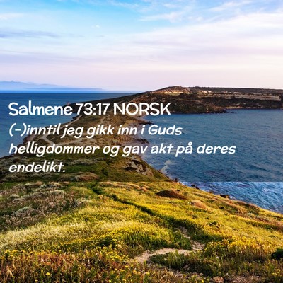 Picture 02 - Salmene 73:17 NORSK - (-)inntil jeg gikk inn i Guds helligdommer og gav - Bible Verse Picture