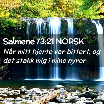 Picture 02 - Salmene 73:21 NORSK - Når mitt hjerte var bittert, og det stakk mig i - Bible Verse Picture