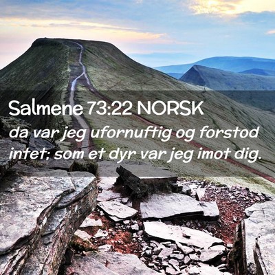 Picture 02 - Salmene 73:22 NORSK - da var jeg ufornuftig og forstod intet; som et - Bible Verse Picture
