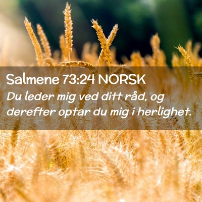 Picture 02 - Salmene 73:24 NORSK - Du leder mig ved ditt råd, og derefter optar du - Bible Verse Picture