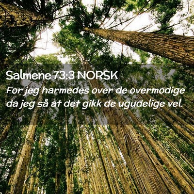 Picture 02 - Salmene 73:3 NORSK - For jeg harmedes over de overmodige da jeg så at - Bible Verse Picture