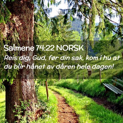 Picture 02 - Salmene 74:22 NORSK - Reis dig, Gud, før din sak, kom i hu at du blir - Bible Verse Picture