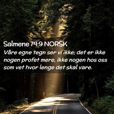 Picture 02 - Salmene 74:9 NORSK - Våre egne tegn ser vi ikke; det er ikke nogen - Bible Verse Picture