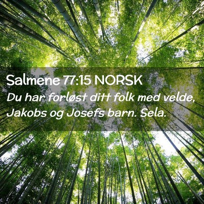 Picture 02 - Salmene 77:15 NORSK - Du har forløst ditt folk med velde, Jakobs og - Bible Verse Picture