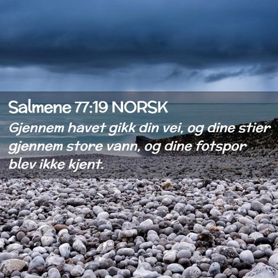 Picture 02 - Salmene 77:19 NORSK - Gjennem havet gikk din vei, og dine stier gjennem - Bible Verse Picture
