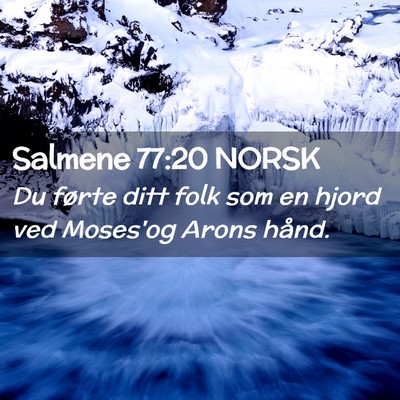 Picture 02 - Salmene 77:20 NORSK - Du førte ditt folk som en hjord ved Moses'og - Bible Verse Picture