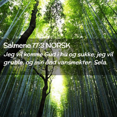 Picture 02 - Salmene 77:3 NORSK - Jeg vil komme Gud i hu og sukke; jeg vil gruble, - Bible Verse Picture