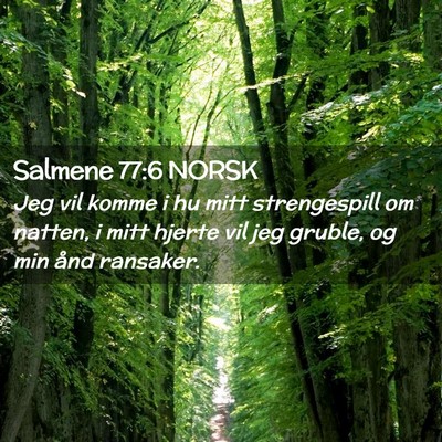 Picture 02 - Salmene 77:6 NORSK - Jeg vil komme i hu mitt strengespill om natten, i - Bible Verse Picture