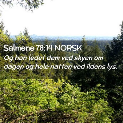 Picture 02 - Salmene 78:14 NORSK - Og han ledet dem ved skyen om dagen og hele - Bible Verse Picture
