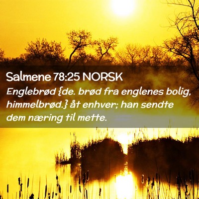 Picture 02 - Salmene 78:25 NORSK - Englebrød {de. brød fra englenes bolig, - Bible Verse Picture