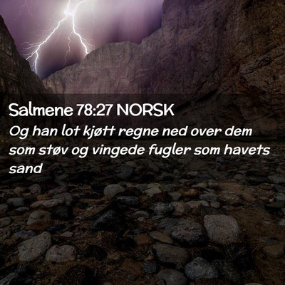 Picture 02 - Salmene 78:27 NORSK - Og han lot kjøtt regne ned over dem som støv og - Bible Verse Picture