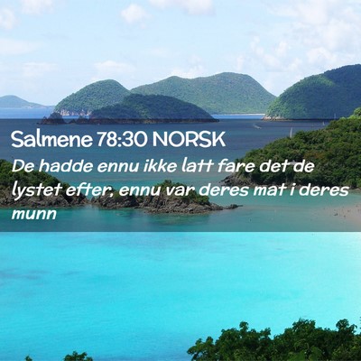 Picture 02 - Salmene 78:30 NORSK - De hadde ennu ikke latt fare det de lystet efter, - Bible Verse Picture