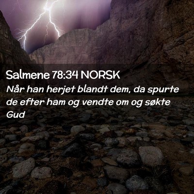 Picture 02 - Salmene 78:34 NORSK - Når han herjet blandt dem, da spurte de efter - Bible Verse Picture
