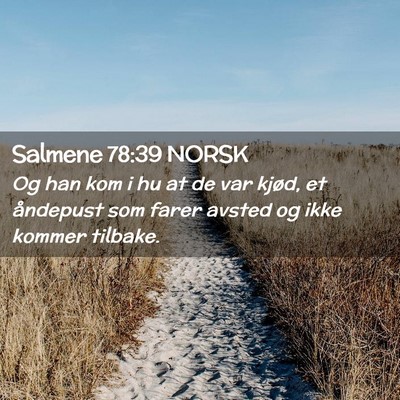 Picture 02 - Salmene 78:39 NORSK - Og han kom i hu at de var kjød, et åndepust som - Bible Verse Picture