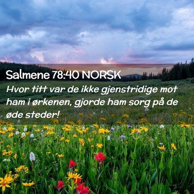 Picture 02 - Salmene 78:40 NORSK - Hvor titt var de ikke gjenstridige mot ham i - Bible Verse Picture