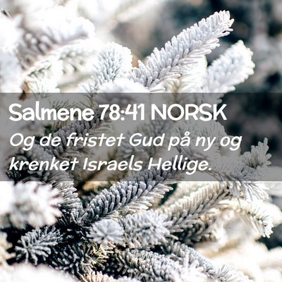Picture 02 - Salmene 78:41 NORSK - Og de fristet Gud på ny og krenket Israels - Bible Verse Picture