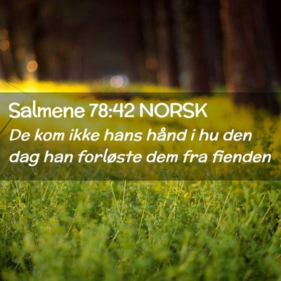Picture 02 - Salmene 78:42 NORSK - De kom ikke hans hånd i hu den dag han forløste - Bible Verse Picture