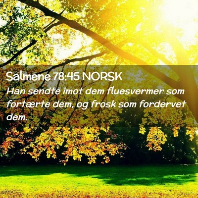 Picture 02 - Salmene 78:45 NORSK - Han sendte imot dem fluesvermer som fortærte - Bible Verse Picture