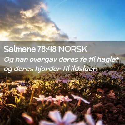 Picture 02 - Salmene 78:48 NORSK - Og han overgav deres fe til haglet og deres - Bible Verse Picture