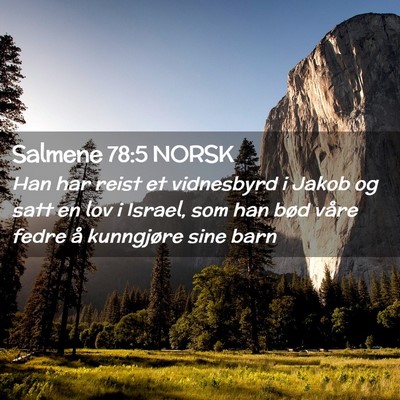 Picture 02 - Salmene 78:5 NORSK - Han har reist et vidnesbyrd i Jakob og satt en - Bible Verse Picture