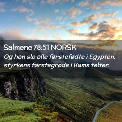 Picture 02 - Salmene 78:51 NORSK - Og han slo alle førstefødte i Egypten, styrkens - Bible Verse Picture