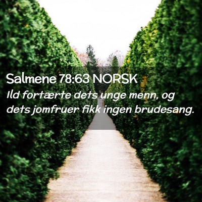 Picture 02 - Salmene 78:63 NORSK - Ild fortærte dets unge menn, og dets jomfruer - Bible Verse Picture