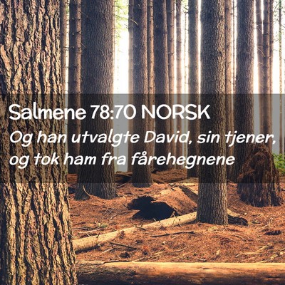 Picture 02 - Salmene 78:70 NORSK - Og han utvalgte David, sin tjener, og tok ham fra - Bible Verse Picture