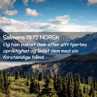 Picture 02 - Salmene 78:72 NORSK - Og han voktet dem efter sitt hjertes opriktighet - Bible Verse Picture