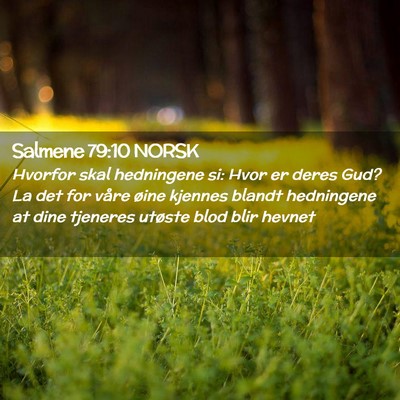 Picture 02 - Salmene 79:10 NORSK - Hvorfor skal hedningene si: Hvor er deres Gud? La - Bible Verse Picture
