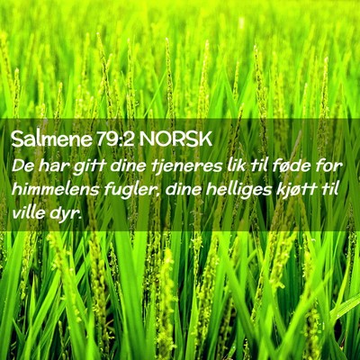 Picture 02 - Salmene 79:2 NORSK - De har gitt dine tjeneres lik til føde for - Bible Verse Picture