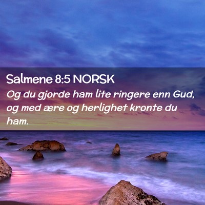 Picture 02 - Salmene 8:5 NORSK - Og du gjorde ham lite ringere enn Gud, og med - Bible Verse Picture