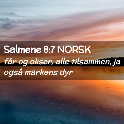 Picture 02 - Salmene 8:7 NORSK - får og okser, alle tilsammen, ja også markens - Bible Verse Picture