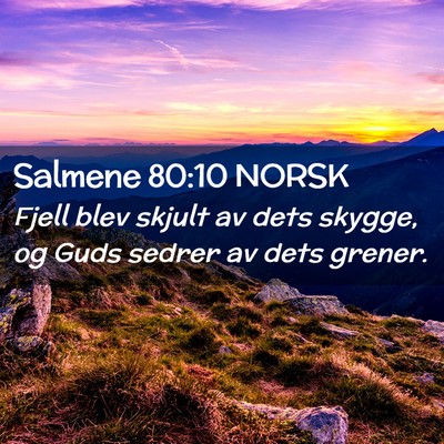 Picture 02 - Salmene 80:10 NORSK - Fjell blev skjult av dets skygge, og Guds sedrer - Bible Verse Picture