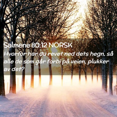 Picture 02 - Salmene 80:12 NORSK - Hvorfor har du revet ned dets hegn, så alle de - Bible Verse Picture