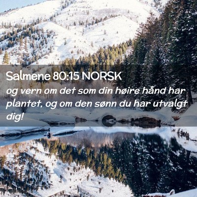 Picture 02 - Salmene 80:15 NORSK - og vern om det som din høire hånd har plantet, - Bible Verse Picture