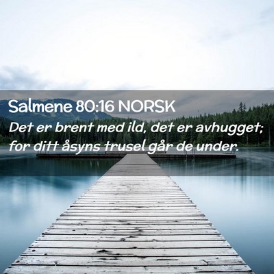 Picture 02 - Salmene 80:16 NORSK - Det er brent med ild, det er avhugget; for ditt - Bible Verse Picture
