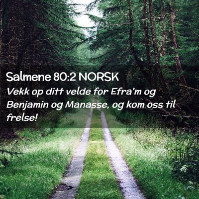 Picture 02 - Salmene 80:2 NORSK - Vekk op ditt velde for Efra'm og Benjamin og - Bible Verse Picture