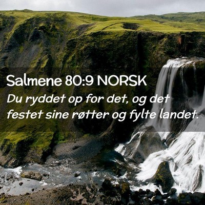 Picture 02 - Salmene 80:9 NORSK - Du ryddet op for det, og det festet sine røtter - Bible Verse Picture