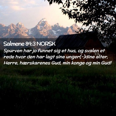Picture 02 - Salmene 84:3 NORSK - Spurven har jo funnet sig et hus, og svalen et - Bible Verse Picture