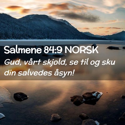 Picture 02 - Salmene 84:9 NORSK - Gud, vårt skjold, se til og sku din salvedes - Bible Verse Picture