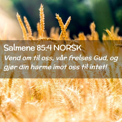 Picture 02 - Salmene 85:4 NORSK - Vend om til oss, vår frelses Gud, og gjør din - Bible Verse Picture