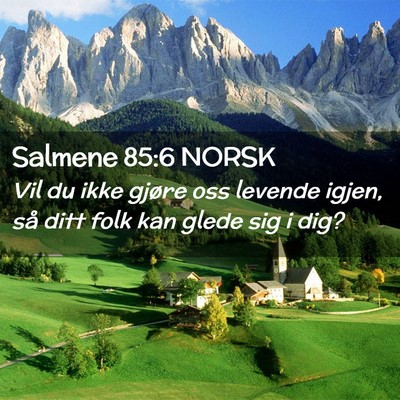 Picture 02 - Salmene 85:6 NORSK - Vil du ikke gjøre oss levende igjen, så ditt - Bible Verse Picture